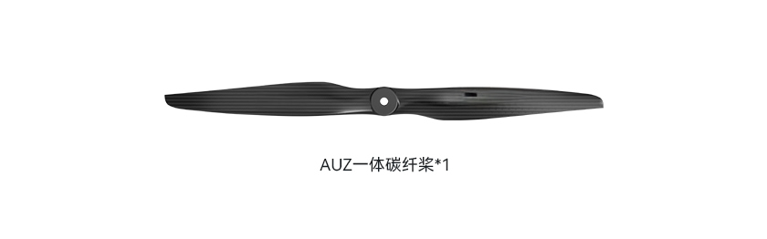 AUZ22x12-pack-cn.jpg